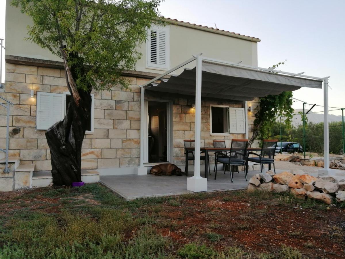 Villa Olive Grove House Lumbarda Extérieur photo